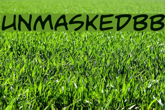 UnmaskedBB Font examples