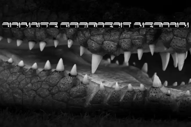 Unmute Gradient Medium Font examples