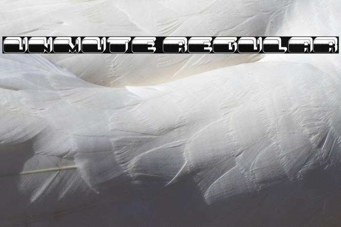 Unmute Regular Example 1