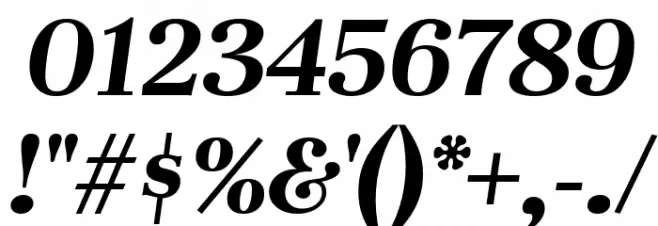 Unna Bold Italic Font OTHER CHARS