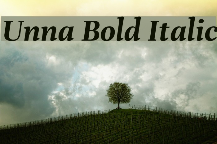Unna Bold Italic Font examples