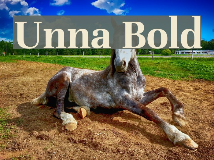 Unna Bold Font examples