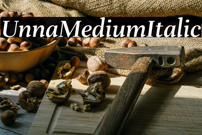 Unna Medium Italic Example 2