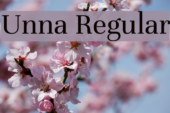 Unna Regular Font examples