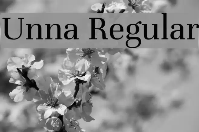 Unna Regular Font examples