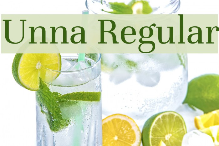 Unna Regular Font examples