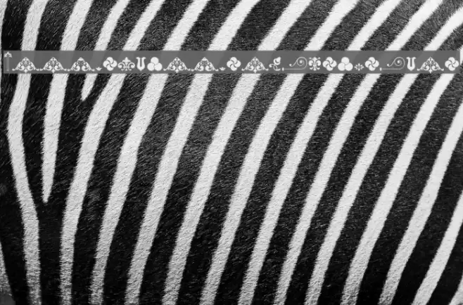 Unnamed Ornaments Series One Font examples