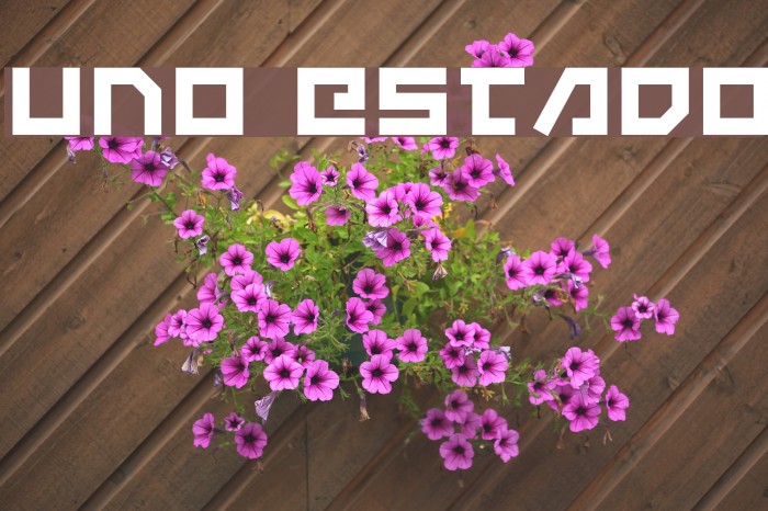 Uno Estado Font examples