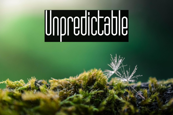 Unpredictable Example 3