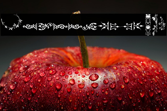 Unpublished Ornaments Two Example 1