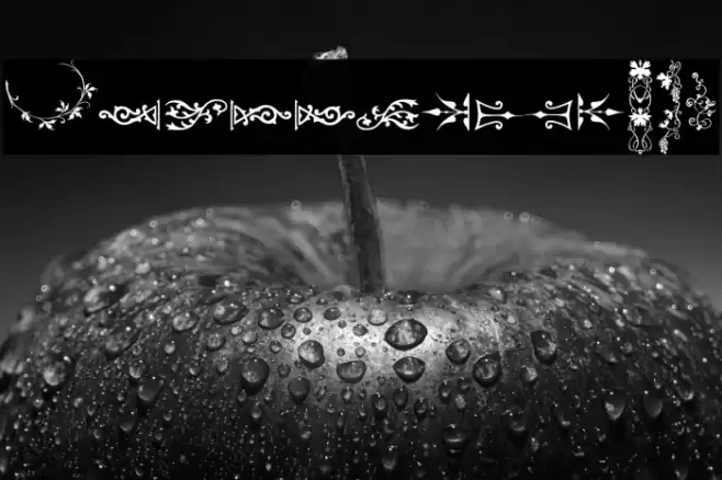 Unpublished Ornaments Two Font examples