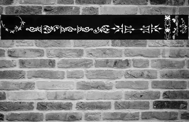 Unpublished Ornaments Two Font examples