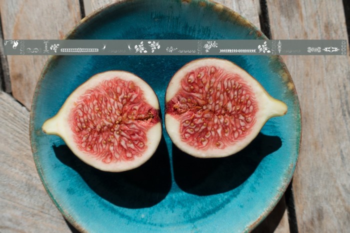 Unpublished Ornaments Two Example 3