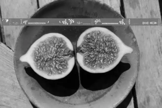 Unpublished Ornaments Two Font examples