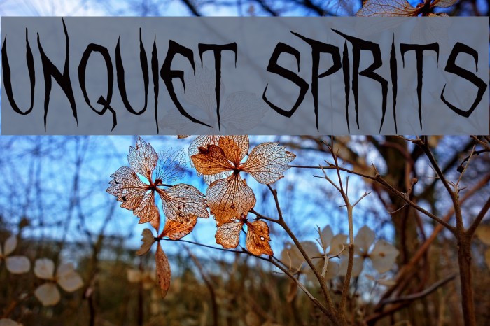 Unquiet Spirits Font examples