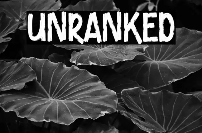 Unranked Font examples