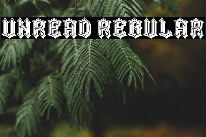 Unread Regular Example 1