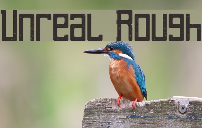 Unreal Rough Example 1