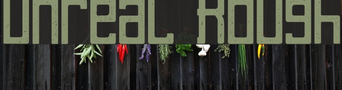 Unreal Rough Example 3