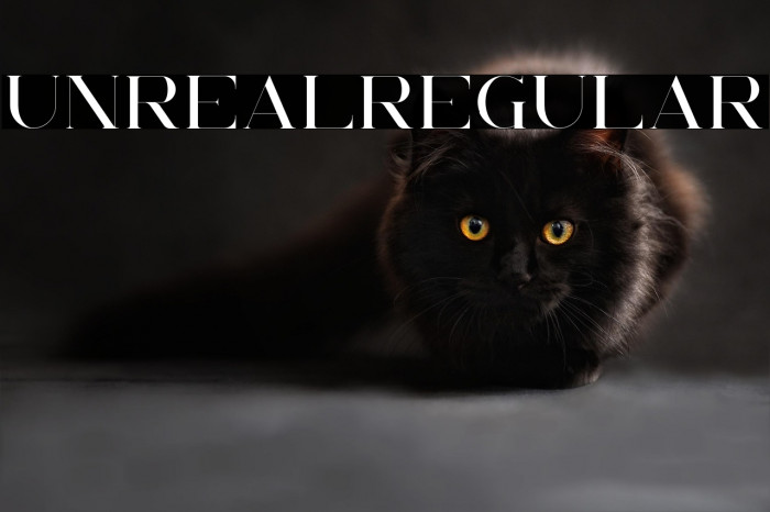 UnrealRegular Example 1