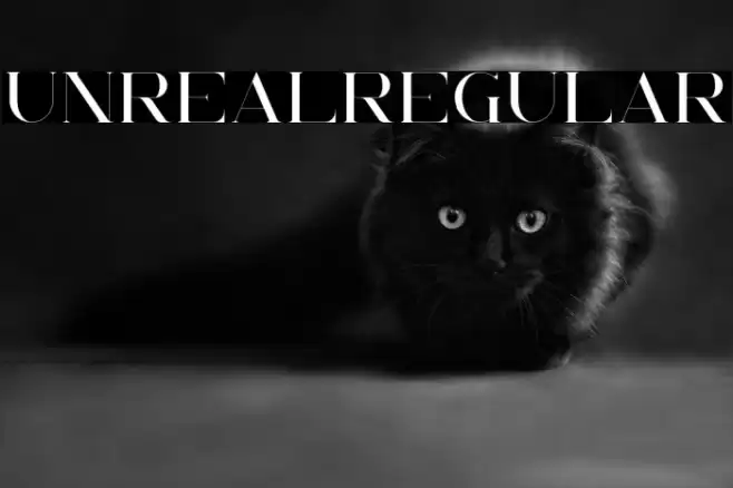 UnrealRegular Font examples