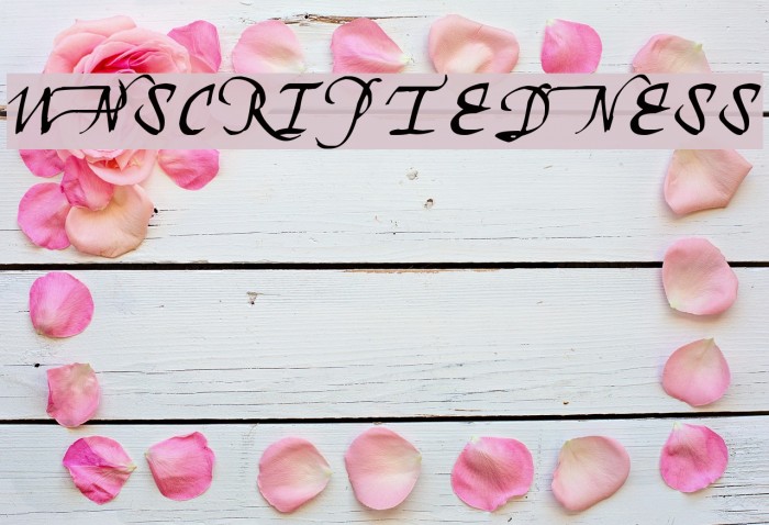 Unscriptedness Font examples
