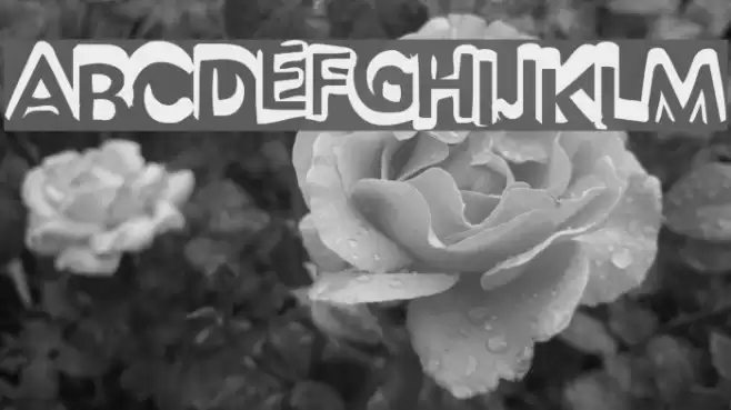 Unsight Fuentes examples