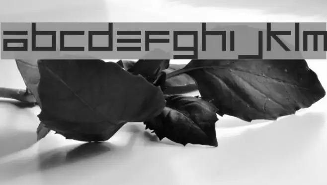 Unsteady Oversteer Font examples
