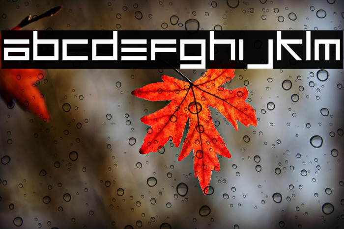 UnsteadyOversteer-Regular Example 1