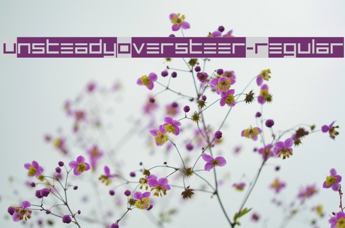 UnsteadyOversteer-Regular Font examples