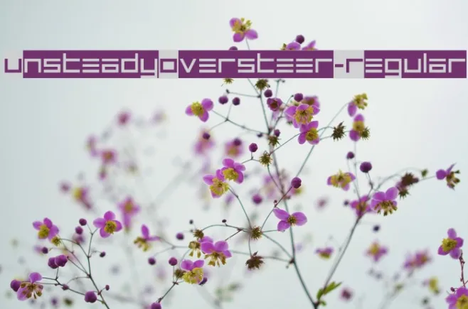 UnsteadyOversteer-Regular Example 1