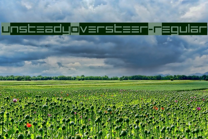 UnsteadyOversteer-Regular Font examples
