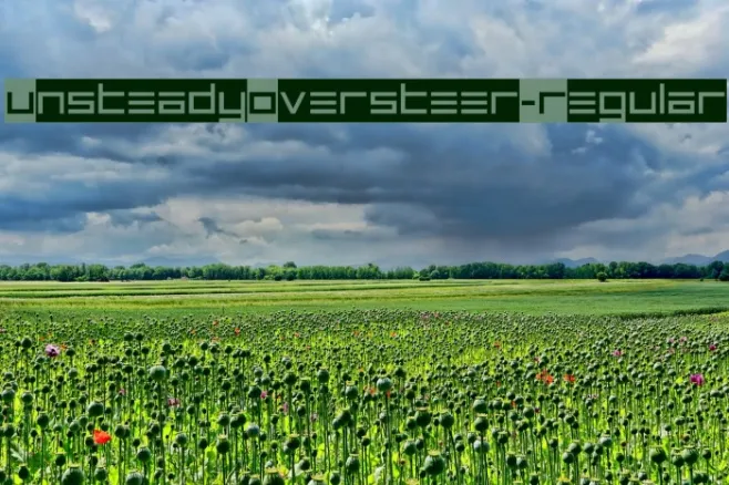 UnsteadyOversteer-Regular Example 2