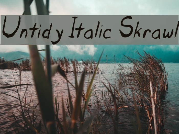 Untidy Italic Skrawl Font examples