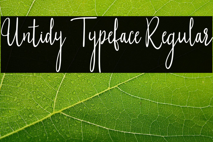 Untidy Typeface Regular Example 1