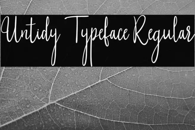 Untidy Typeface Regular Шрифта examples