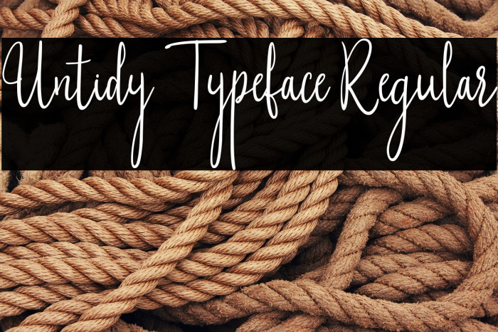 Untidy Typeface Regular Example 3