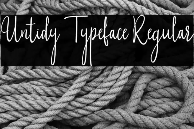 Untidy Typeface Regular Шрифта examples