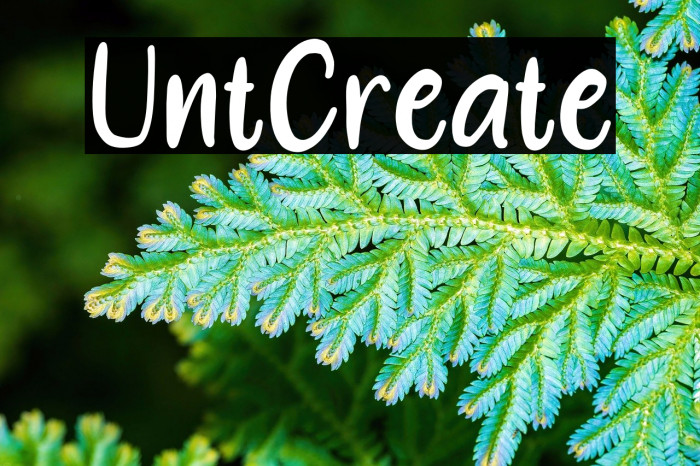 Until Create Example 2