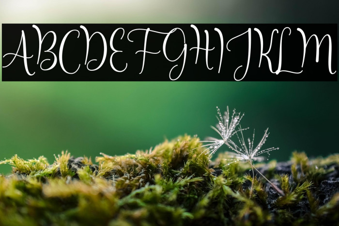 Untilnow-script Example 3