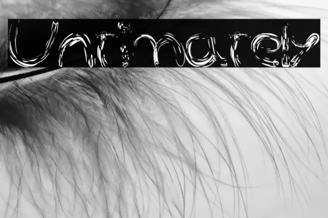 Untimately Font examples