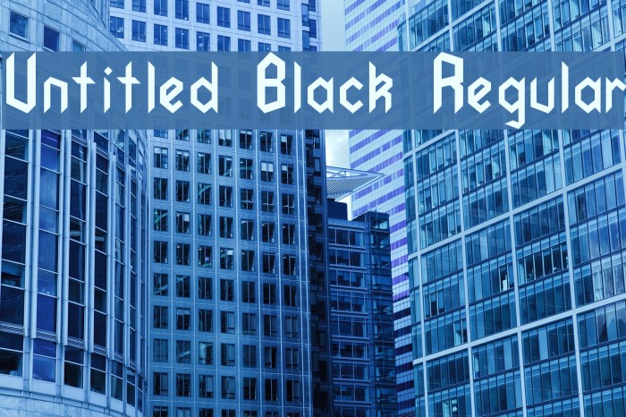 Untitled Black Regular Example 2