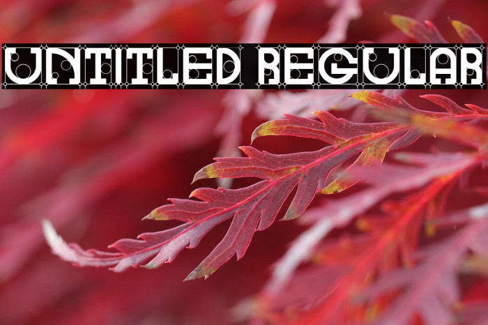 Untitled Regular Example 2