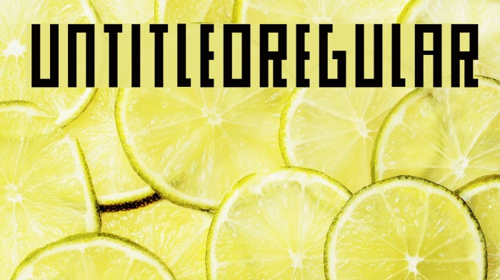 UntitledRegular Font examples