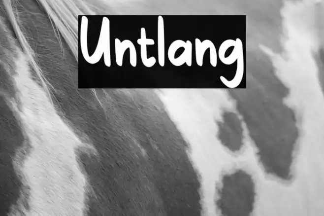 Untlang フォント examples