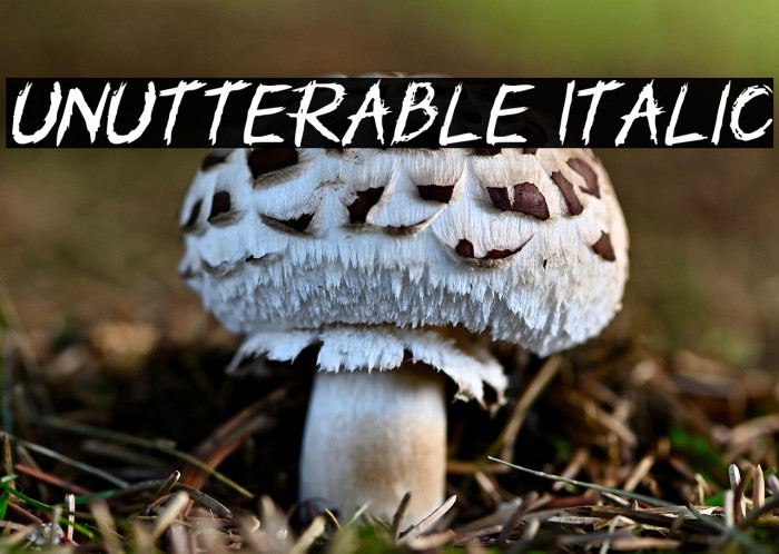 Unutterable Italic Example 3