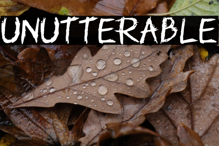 Unutterable Example 2