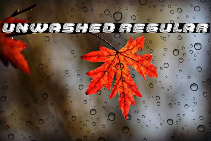 Unwashed Regular Example 2