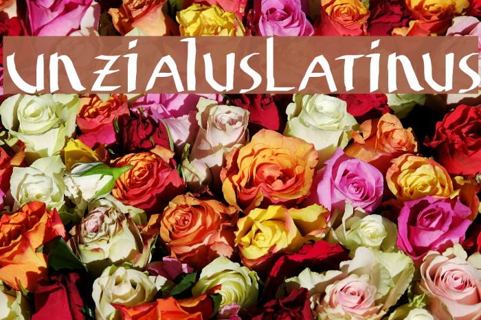 UnzialusLatinus Example 3