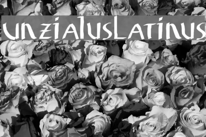 UnzialusLatinus Font examples